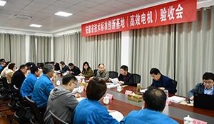 安徽省技術(shù)標準創(chuàng)新基地（高效電機）